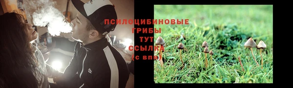 дживик Алзамай
