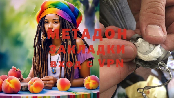 прущие грибы Алексеевка