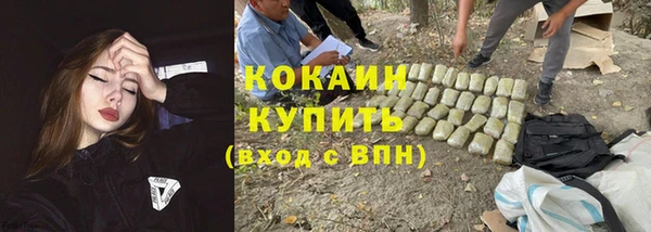 дживик Алзамай