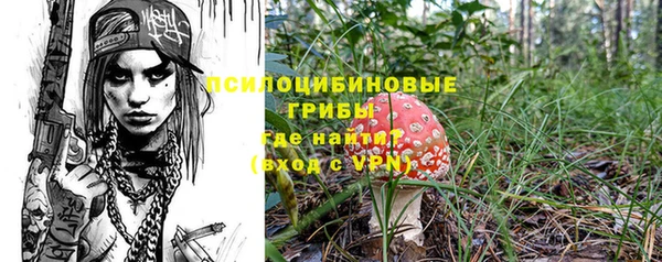 прущие грибы Алексеевка
