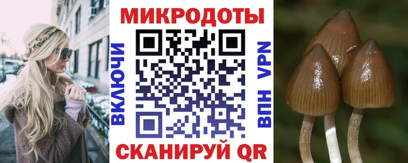 Псилоцибиновые грибы мицелий  блэк спрут онион  Калининск  купить наркотики сайты 